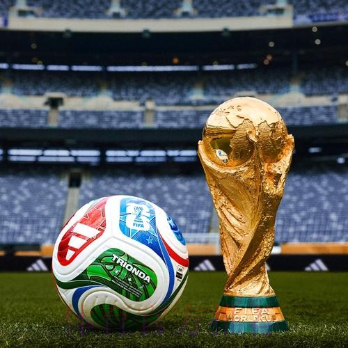 2026世界杯买球网站官方入口地址
